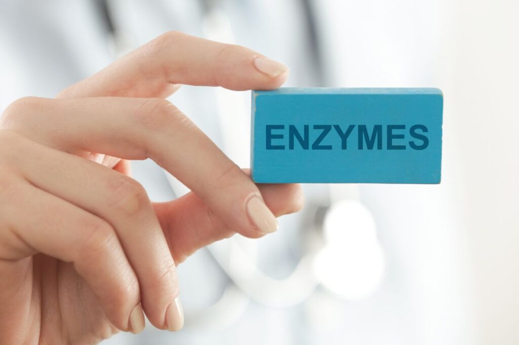 enzymes