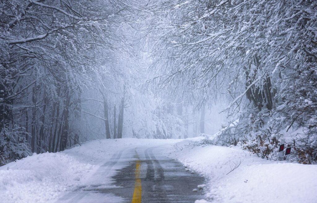 road, forest, snow-5903402.jpg