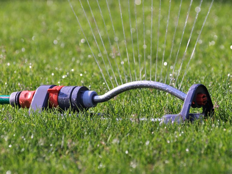 Septic System and Sprinklers: What You Need to Know